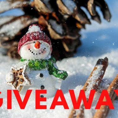 We're running a christmas giveaway. Enter now!