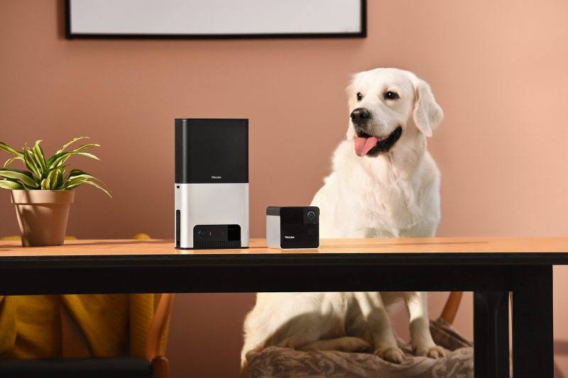An image showing a dog with two smart pet cameras and treat dispenser.