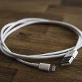Apple may be forced to remove the lightning cable.
