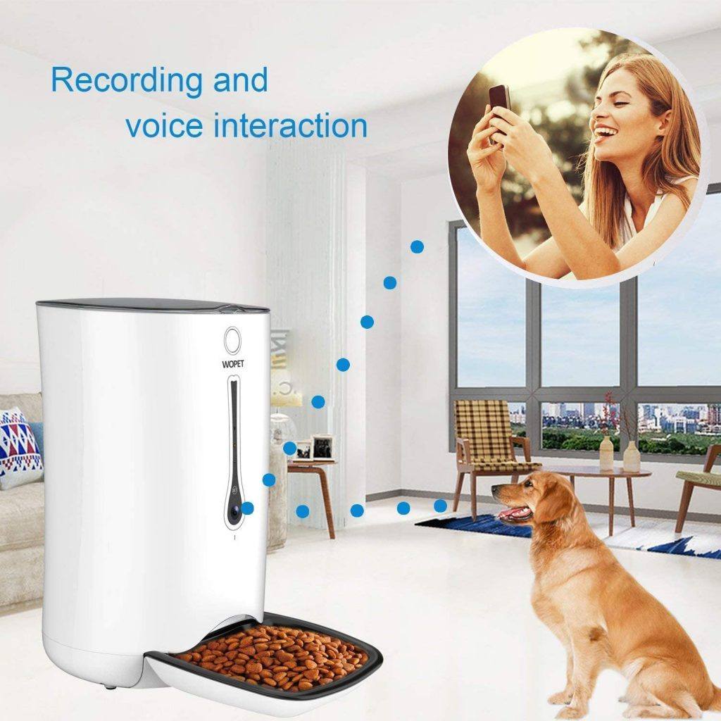 The Best Pet Cameras with Treat Dispenser
